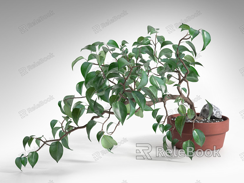 potted plant model