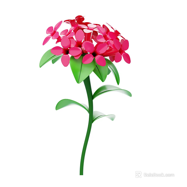 Beautiful Plant With Red Flowers Green Stem And Fresh Leaves 3d model 