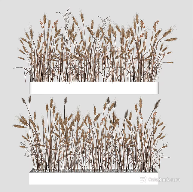 Bonsai Potted Plant Featuring Wheat Like Grass And Small Flowers For Home Decoration 3d model 