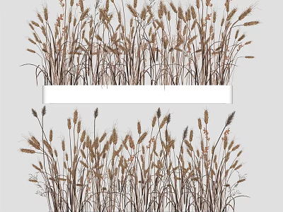 Bonsai Potted Plant Featuring Wheat Like Grass And Small Flowers For Home Decoration 3d model