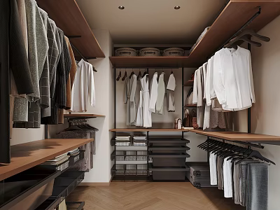 Modern Organized Walk In Closet With Hanging Clothes Shelves Drawers And Wooden Flooring 3d model