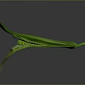 Green Leaf With Organ Like Structure And Hair Like Texture Details