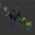 Group of Wild Moose Deer and Fox Standing Together on Gray Background