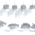 Colorful Flowering Hanging Basket Plants With Lush Greenery For Indoor Decoration
