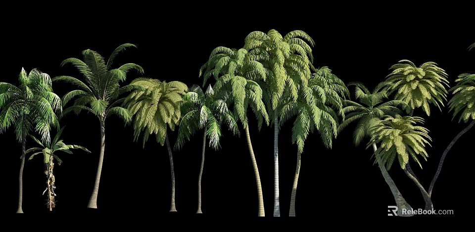 Lush Green Palm Trees With Slender Trunks And Dense Foliage 3d model 