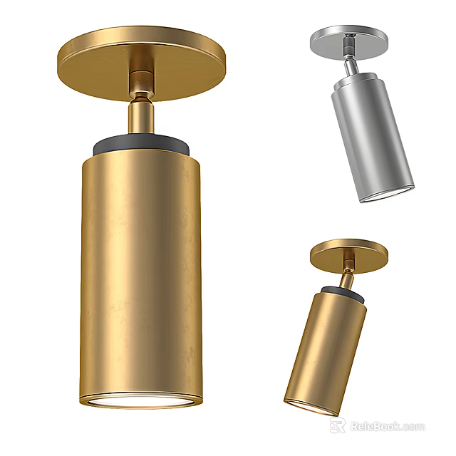 Modern Downlights and Spotlights with Gold Silver Metal Ceiling Lighting Design 3d model 