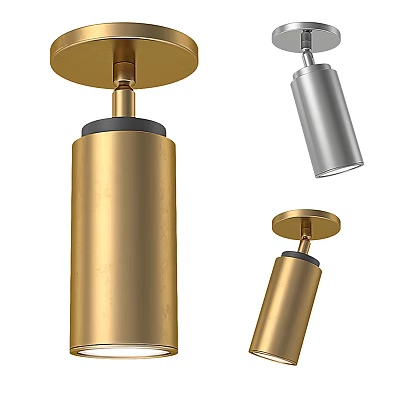 Modern Downlights and Spotlights with Gold Silver Metal Ceiling Lighting Design 3d model