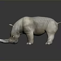 White Rhino 3D Model Display on Reflective Surface with Gray Background 3d model
