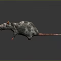 Detailed 3D Render of Gray Black Rat with Red Ears Claws Tail and Blue Eyes