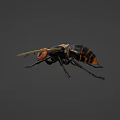 Flying Insect With Black And Yellow Striped Body Transparent Wings Orange Head And Detailed Appearance