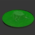 Green Plants Grass And Moss Surrounding Tree Stump In Round Display Natural Setting