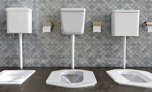 Modern Squat Toilet Squat Toilet Combination 3d model