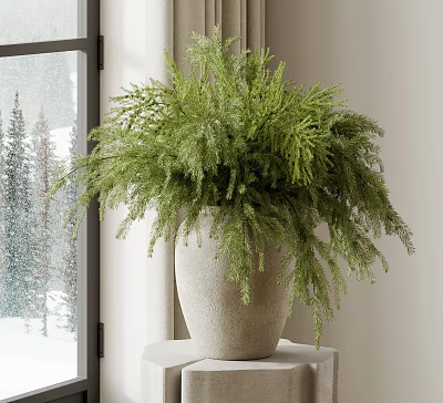 Lush Green Potted Bonsai Plant with Cascading Foliage on White Pedestal by Window 3d model