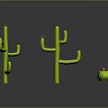 Green Cacti With Pink Flowers Including Large And Small Sizes On Reflective Surface