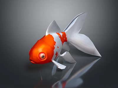 Red And White Goldfish With Large Eyes Shiny Body And Tail On Dark Background 3d model