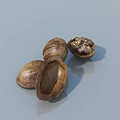 Open and Closed Walnuts with Kernel on Light Blue Reflective Surface 3d model