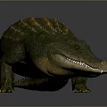 Realistic Green And Yellow Crocodile 3D Model With Detailed Texture On Dark Background