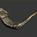 Artistic Sculpture Carving Curved Horn Shaped With Textured Bronze Gold Gradient On Dark Background