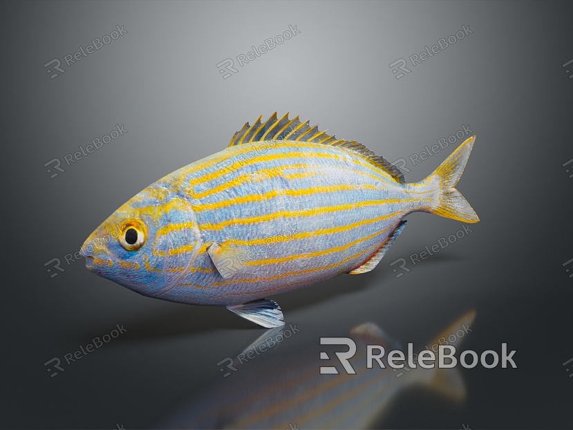 modern fish freshwater fish marine fish animal model