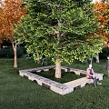 Stone Landscape Seat Surrounding Large Tree in Lush Green Lawn With People Relaxing