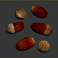 Red And Brown Acorns As Natural Food With Textured Surface On Black Background And Reflections