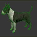 Black and White Bull Terrier Dog Standing on Gray Surface With Smooth Coat