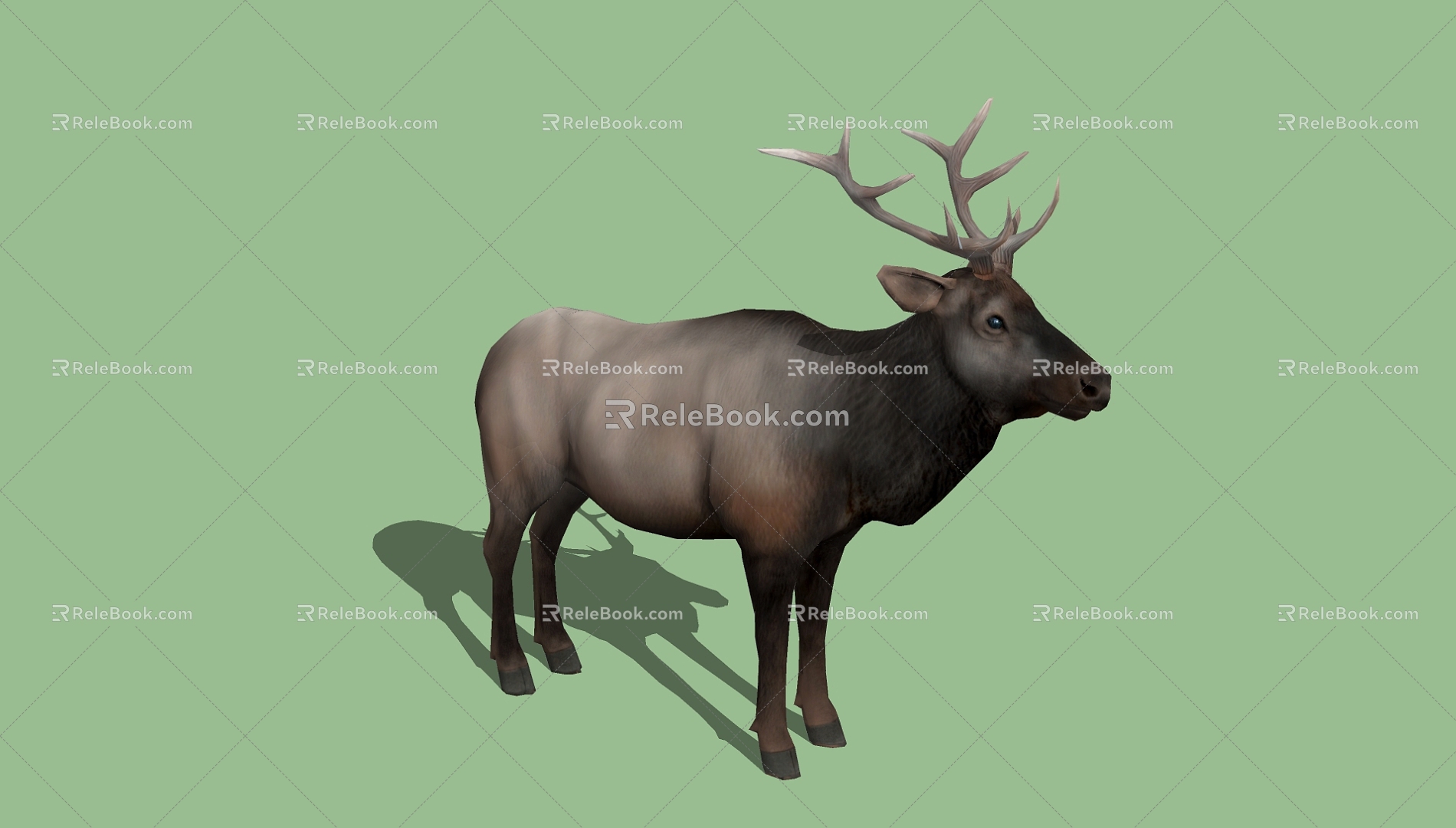 Animals 3d model