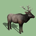 Animals 3d model