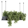 Modern hanging basket plant potted hanging basket 3d model