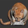 Orange and white cat eating food from marble bowl on dark surface with reflection