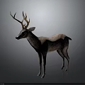Realistic Deer 3D Model With Brown Fur And Antlers In Standing Pose