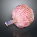 Fresh Single Pink Striped Garlic Bulb With Purple Root On Dark Surface 3d model