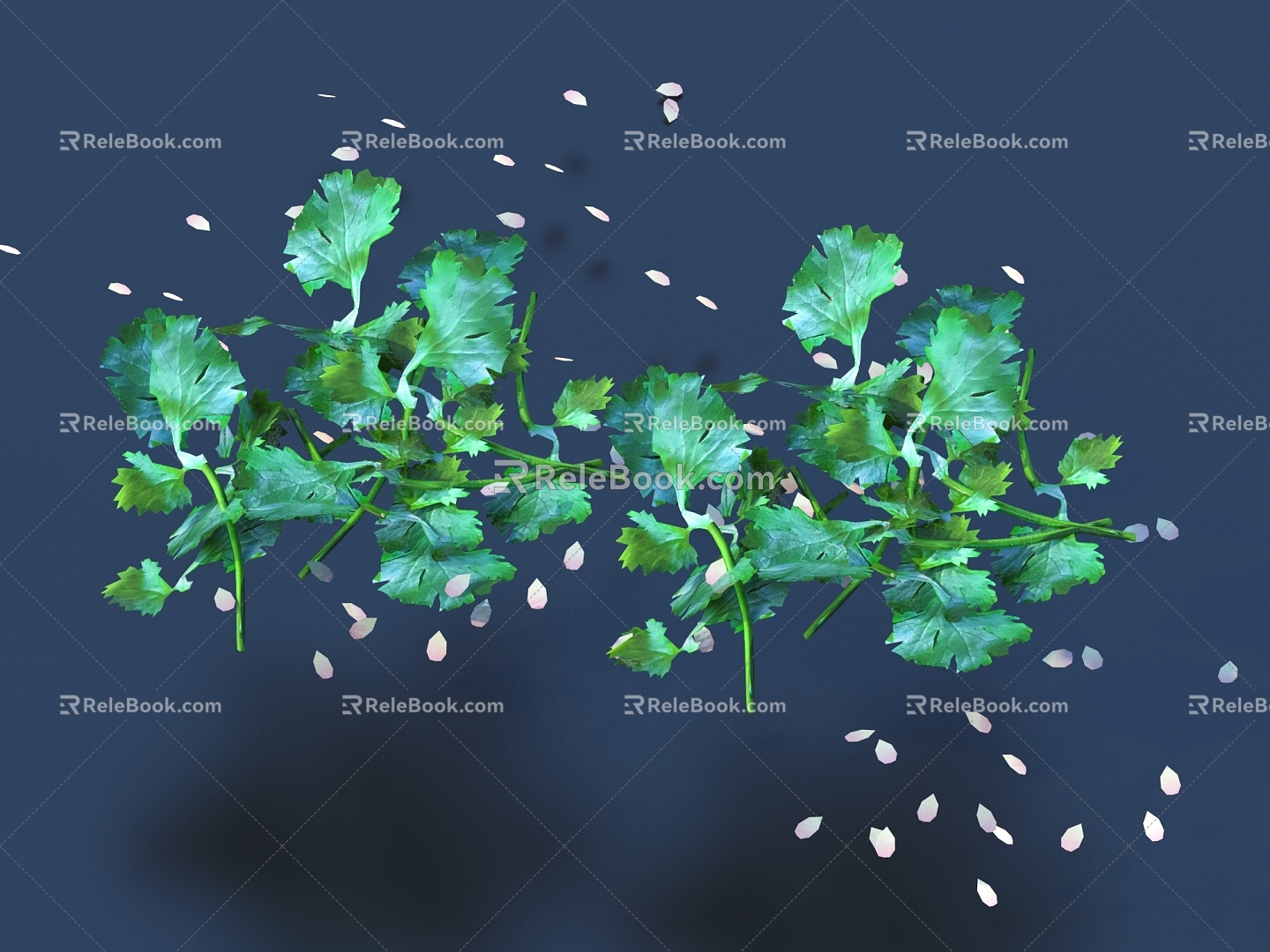 Cilantro side dish with gourmet garnish 3d model