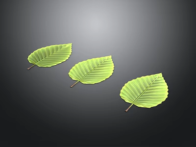 Three Fresh Green Plant Leaves with Visible Veins on Dark Background 3d model