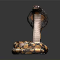 snake cobra venomous snake python reptile cold-blooded animal reptile 3d model