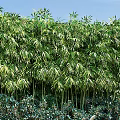 Lush Garden Landscape with Bamboo Plants Colorful Flowers Deer Statue and Stone Pebbles