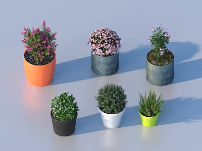 Colorful Potted Plants With Various Flowering And Green Foliage In Ceramic Pots 3d model