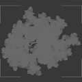 Lush Leafy Arbor with Dense Green Foliage and Multiple Branches Beside Person Silhouette