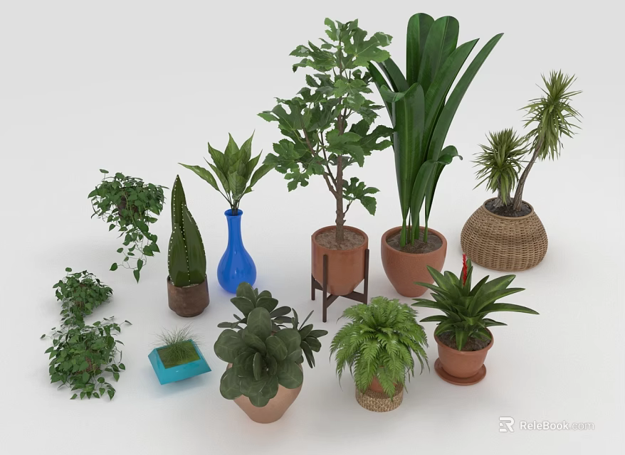 Various Indoor Green Plants In Ceramic Woven And Clay Decorative Pots For Home Decor 3d model 