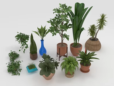 Various Indoor Green Plants In Ceramic Woven And Clay Decorative Pots For Home Decor 3d model