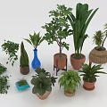 Various Indoor Green Plants In Ceramic Woven And Clay Decorative Pots For Home Decor