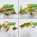 Tree Frog with Binding and Jumping Animation Flying Frog Frog Rana 3d model