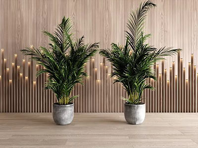 Indoor Potted Green Plants in Gray Pots Against Wooden Wall With Vertical Lights 3d model