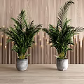Indoor Potted Green Plants in Gray Pots Against Wooden Wall With Vertical Lights