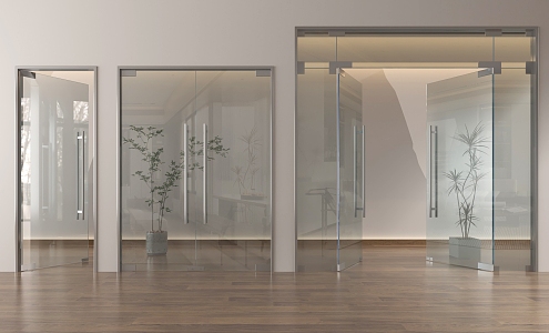 Modern Glass Single Door Glass Double Door Glass Door Entry Door Office Glass Door 3d model