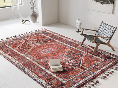 Intricate Patterned Square Rug With Tassels In Bright Living Room 3d model
