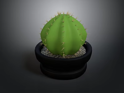 Potted Green Cactus Plant With Spines In Black Pot And Small Pebbles 3d model