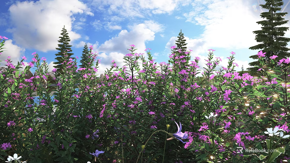 Blooming Purple Flowers Against Blue Sky With White Clouds And Tall Pine Trees 3d model 