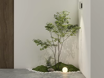 Indoor Landscape With Green Tree Small Plants Moss White Pebbles Round Lamp And Light Wall 3d model