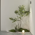 Indoor Landscape With Green Tree Small Plants Moss White Pebbles Round Lamp And Light Wall